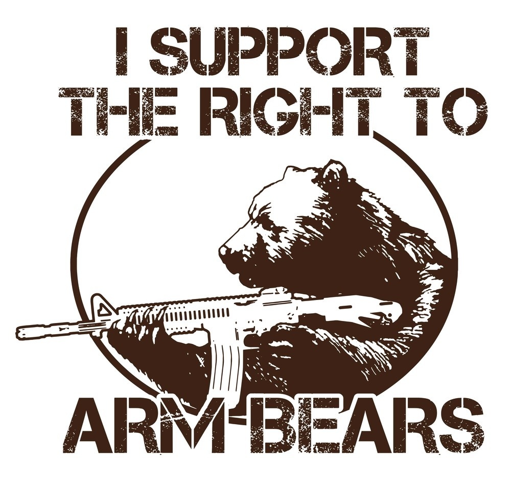 Right to Bear Arms. Русский медведь надпись. Вооруженный медведь. Крутые надписи Bear.