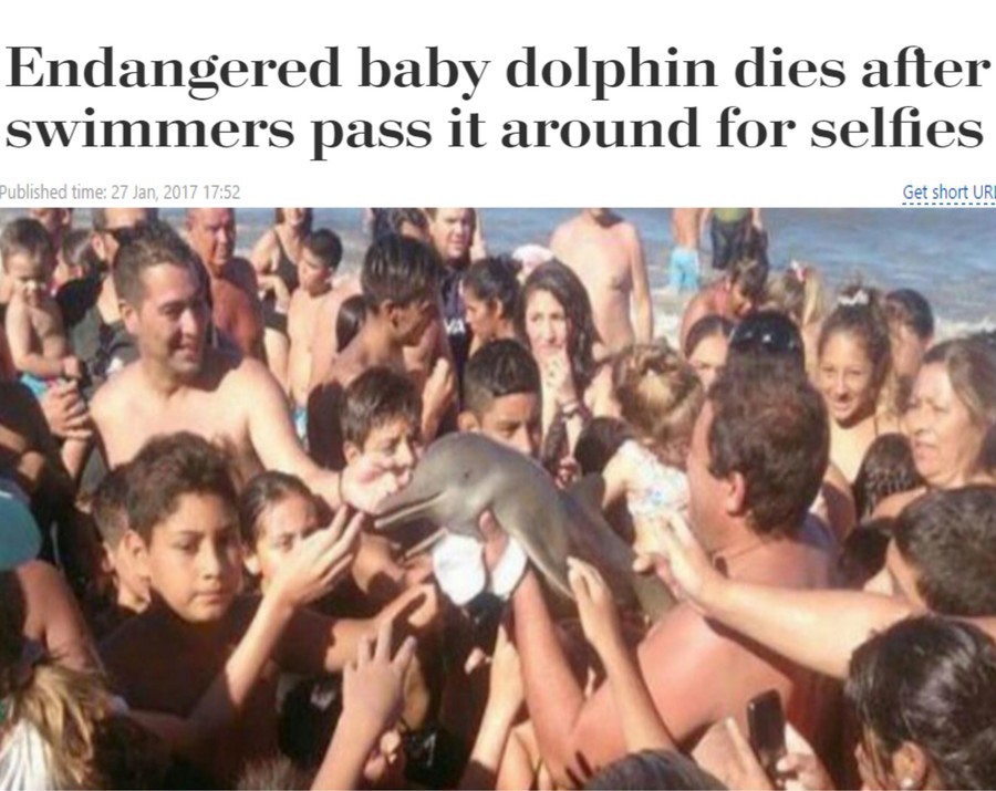 Baby dolphin dies.. .. personally I despise dolphins but it pisses me off more that people passed around a dying, endangered animal just to get pictures of it