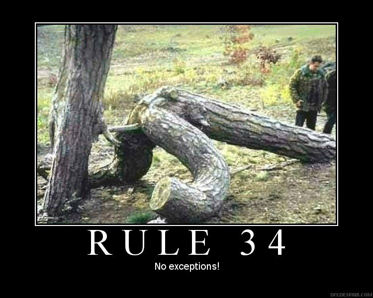rule34 1. post another 2 if dis gets 20 thumbz. No exceptions!. Now that's what I call morning wood.
